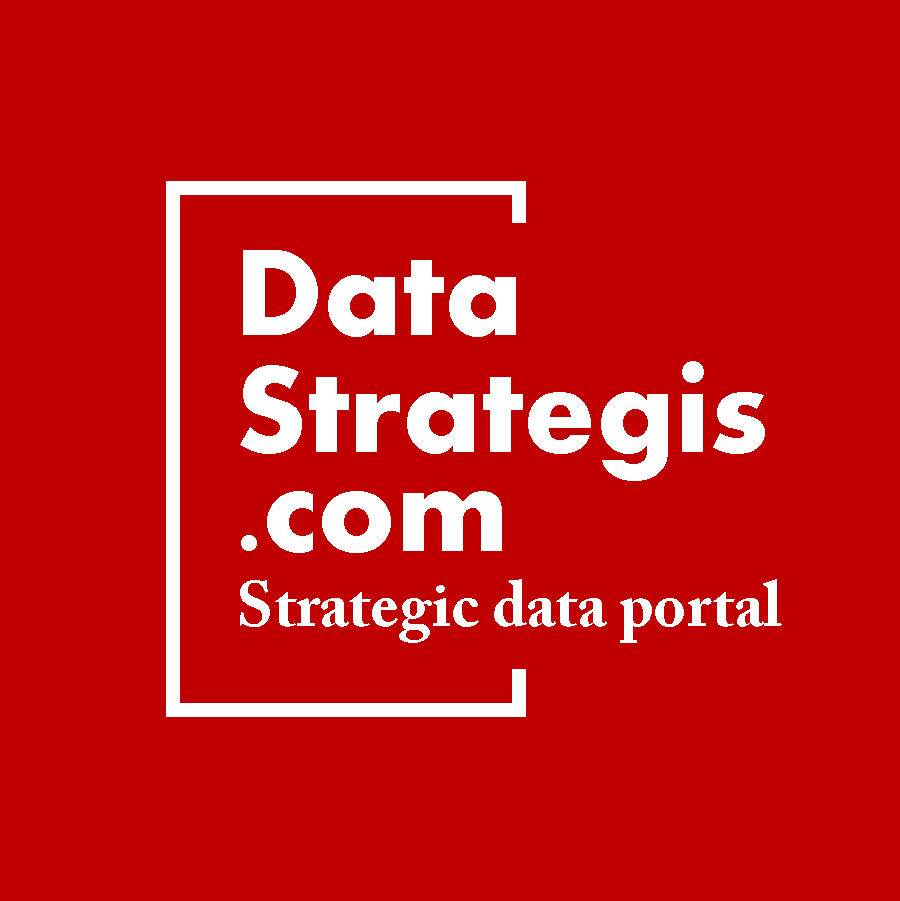 logo datastrategis.com